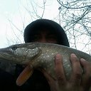 ���� ��� ���������, ������, 41 ��� - ��������� 7 ������� 2018