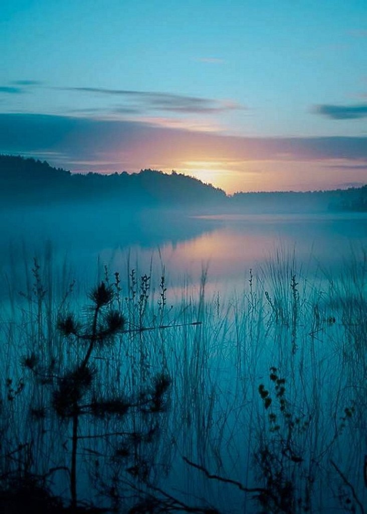 (   .  ). ,    57 . ... - 2