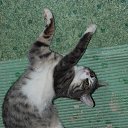 ���� ��������, ������, 78 ��� - ��������� 10 ������ 2019 � ������ ������ ��������