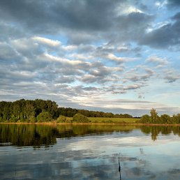 ���� ������, ������, 46 ��� - ��������� 25 ������� 2019
