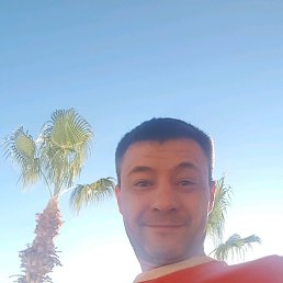 ���� ��������, ������, 48 ��� - ��������� 15 ������� 2018