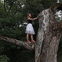 ���� ����������, �����, 29 ��� - ��������� 8 ������� 2018 � ������ ���� ����������