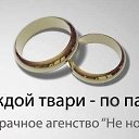 ���� ��������� �����, ��������, 36 ��� - ��������� 27 ���� 2018
