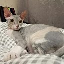 ���� ���������, �����-��������� - ��������� 10 ������� 2018 � ������ ���� ��������