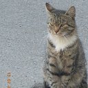 ���� ����, �����-��������� - ��������� 15 ���� 2018 � ������ ���������� ����!�