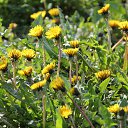 ���� �����, ������ - ��������� 6 ������� 2018 � ������ ������ ��������