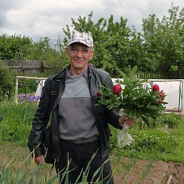 ������, ��������