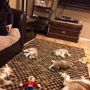 ������� �� ������. �� ������� ���� ����������