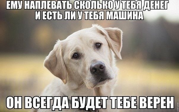  - 17  2018  17:13
