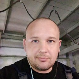 �����, ��������, 46 ���