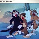 ���� ˸��, ���������� - ��������� 22 ������� 2018 � ������ ������ ��������