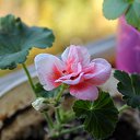 ���� Vassa, ���� - ��������� 4 ������ 2018 � ������ ������ ��������