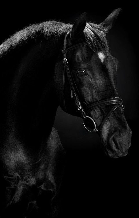  -   ! - 22  2018  16:35