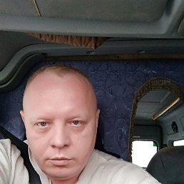 �������, ���������, 46 ���