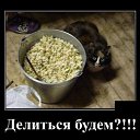 ���� ������, ������, 62 ���� - ��������� 31 ������� 2018 � ������ �����������, �����, ����� ���!�