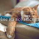 ���� ����, ������ - ��������� 18 �������� 2018 � ������ ������ ��������