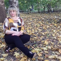 ���� �����, �������, 48 ��� - ��������� 8 ������� 2019