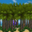 ���� ������, ������ - ��������� 19 ������� 2019