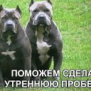 ���� ������, ����������� - ��������� 1 ������ 2018 � ������ ���� ����������