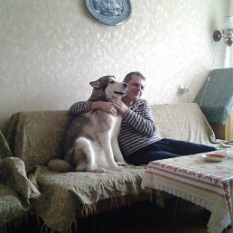 ����, ��������, 52 ����