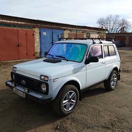���� ������, �������, 41 ��� - ��������� 2 ������ 2019