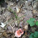  , , 60  -  4  2018   ,  ,04.08.18.