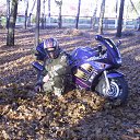 ���� Dimon, ���������, 51 ��� - ��������� 4 ������ 2018 � ������ ���� ����������