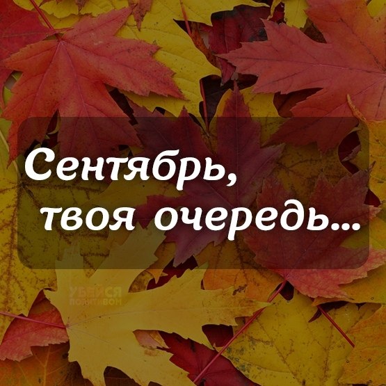 Твоя очередь. Октябрь твоя очередь. Август твоя очередь. Сентябрь твой месяц ждем результат. Твоя очередь таблица.