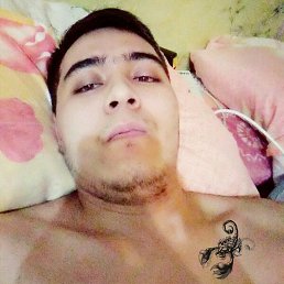 Doni, ������, 31 ���