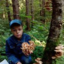 ���� �����, �����������, 46 ��� - ��������� 5 ������� 2018 � ������ ���� ����������