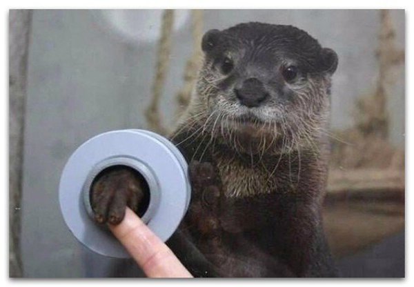 � �� �� �o���� �o���� ����� �����?