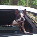 ���� ������, ��������, 58 ��� - ��������� 30 ������ 2019 � ������ ������ ��������
