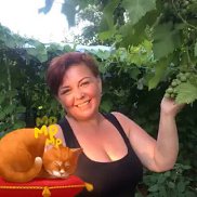 Светлана, 52 года, Москва Светлана, 52 года, Москва