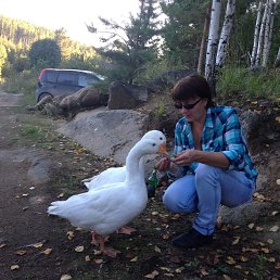 ���� ����, ������������ - ��������� 21 ������� 2018