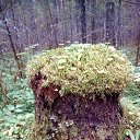 ���� ������, ������������ - ��������� 3 �������� 2018 � ������ ���� ����������