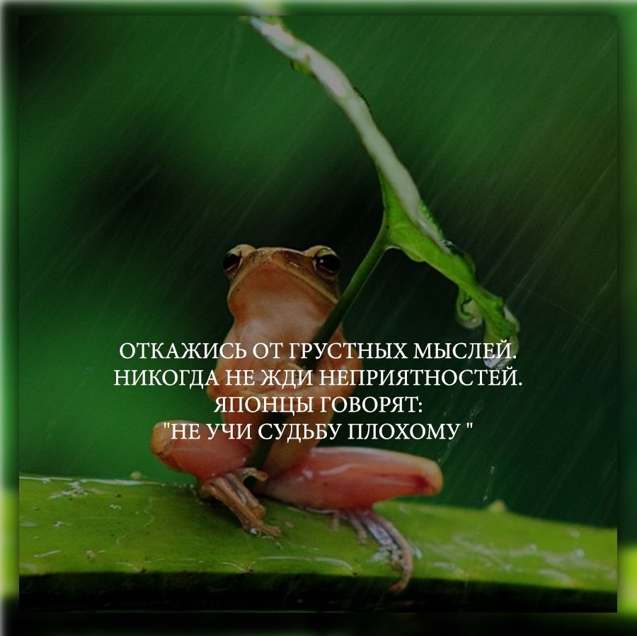 Отказался цитаты. Никогда не отказывайтесь от своей мечты. Не отказавшись от идеи. Не отказавшись от идеи. Высказывания о мыслях.