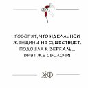 ���� ��������, ��������, 53 ���� - ��������� 23 ������� 2018 � ������ ������ ��������