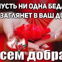 ���� �����, ������, 41 ��� - ��������� 8 ������ 2018 � ������ ���������