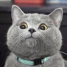 Sanya, ������, 35 ���