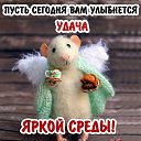 ���� ������, ������ ��������, 52 ���� - ��������� 6 ����� 2019 � ������ ���� ����������