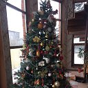 ���� Martin, �����������, 62 ���� - ��������� 5 ������� 2019 � ������ ������ ��������