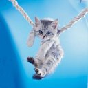 ���� ���, ������, 49 ��� - ��������� 21 ����� 2019 � ������ ���� ����������