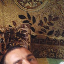 ���� ������, ����������-���������, 36 ��� - ��������� 14 ������� 2018