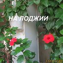 ���� ������, ���� - ��������� 13 ������ 2018 � ������ ���� ����ۻ