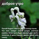 ���� �����, ������, 46 ��� - ��������� 7 ����� 2019 � ������ ���� ����������