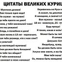  , , 67  -  16  2019   -