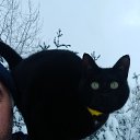 ���� �����, ������, 55 ��� - ��������� 26 ������ 2019 � ������ ���� ����������