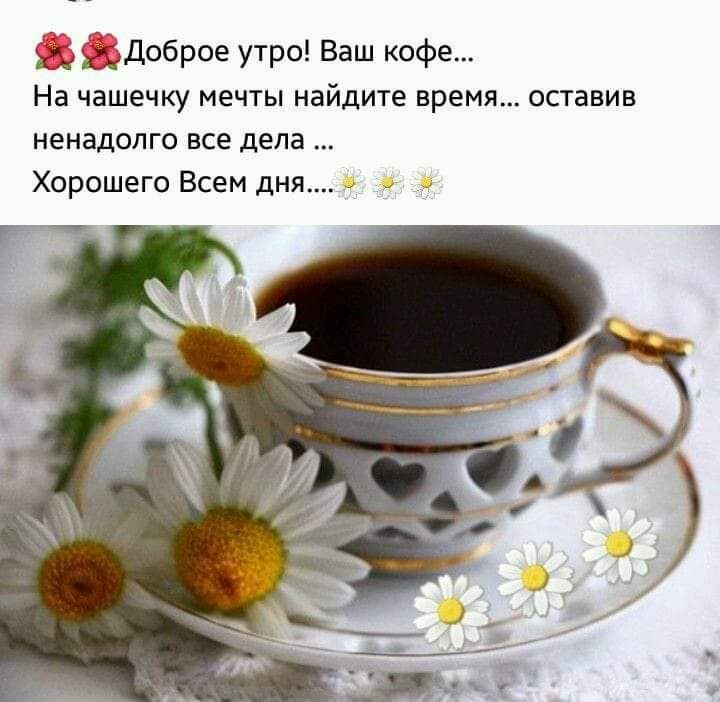 Чашечку мечты