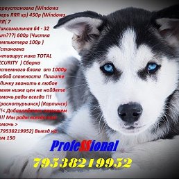 ������������� W7, ������������, 43 ����