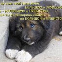 ���� �����, ������ �������� - ��������� 17 ������� 2018 � ������ ������ ��������